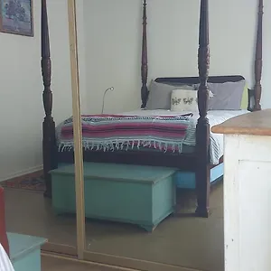 Ocean Front Vortex Female Private Free Bikes Hostel